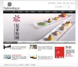 廣告咨詢服務公司企業(yè)網(wǎng)站整站設計——Vens2008作品展示