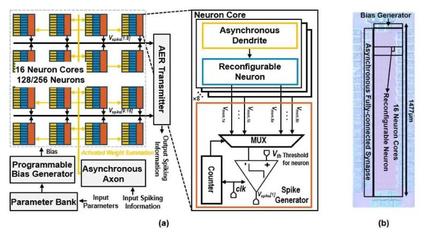 上海交大王國(guó)興團(tuán)隊(duì)研發(fā)出高能效脈沖神經(jīng)網(wǎng)絡(luò)加速器芯片，為類腦計(jì)算與邊緣智能注入新動(dòng)能